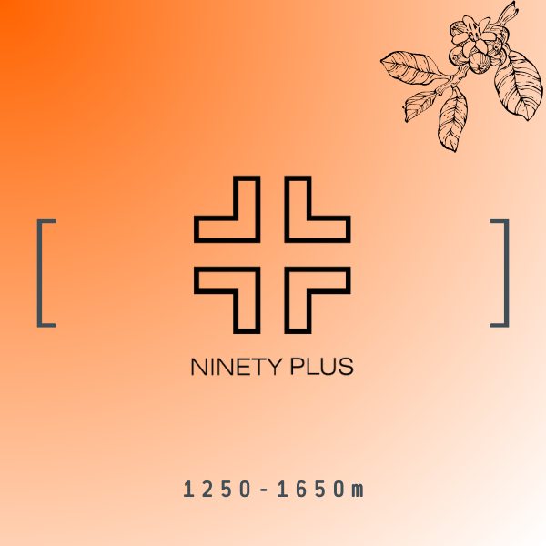 【90+系列】巴拿馬 藝妓 日曬 