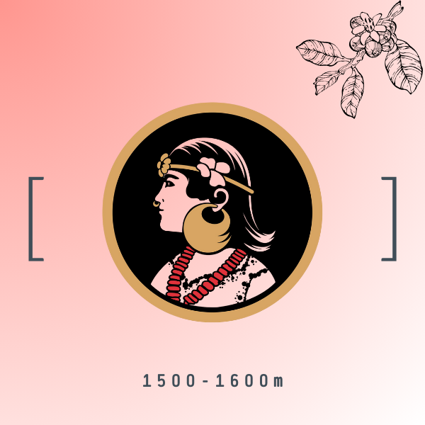 巴拿馬 揚卡公主 日曬 