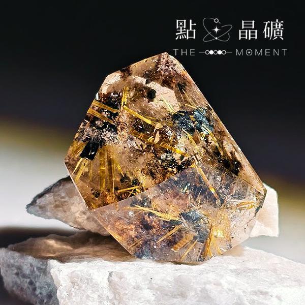 鈦金｜燦金花園｜隨型件 
