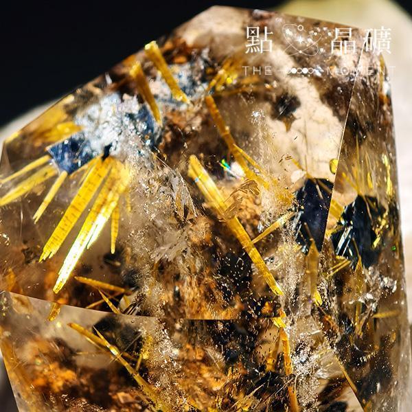 鈦金｜燦金花園｜隨型件 