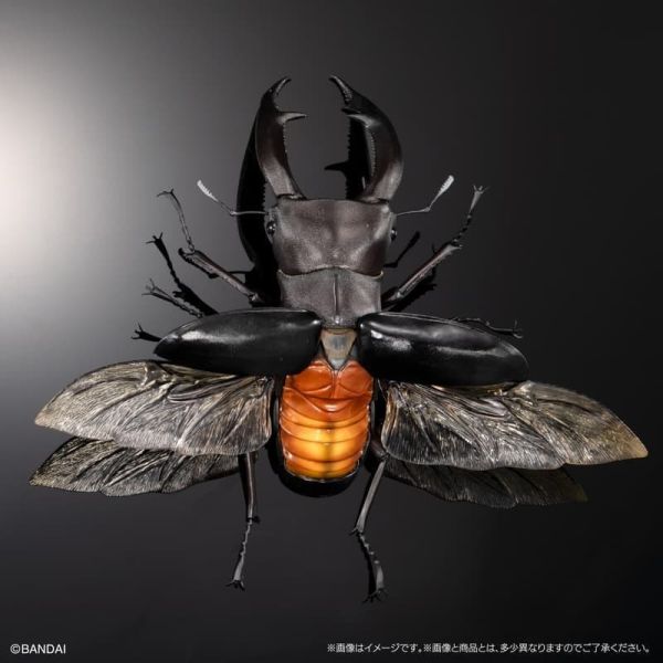 【2026/03月預購】生物大圖鑑PREMIUM 巨顎叉角鍬形蟲（黑） 生物大圖鑑PREMIUM 巨顎叉角鍬形蟲（黑）