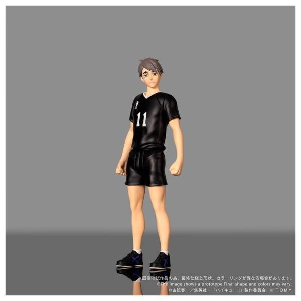 【2027/02月預購】TOMY T-SPARK COLLEKAZARO 排球少年 吊卡 可動完成品 五款 TOMY T-SPARK COLLEKAZARO 排球少年 吊卡 可動完成品 五款