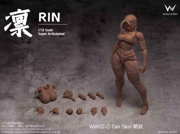 【2026/03月預購】可動女素體 WW02-C 鯨工坊 6吋 凜RIN 曬膚 可動女素體 WW02-C 鯨工坊 6吋 凜RIN 曬膚