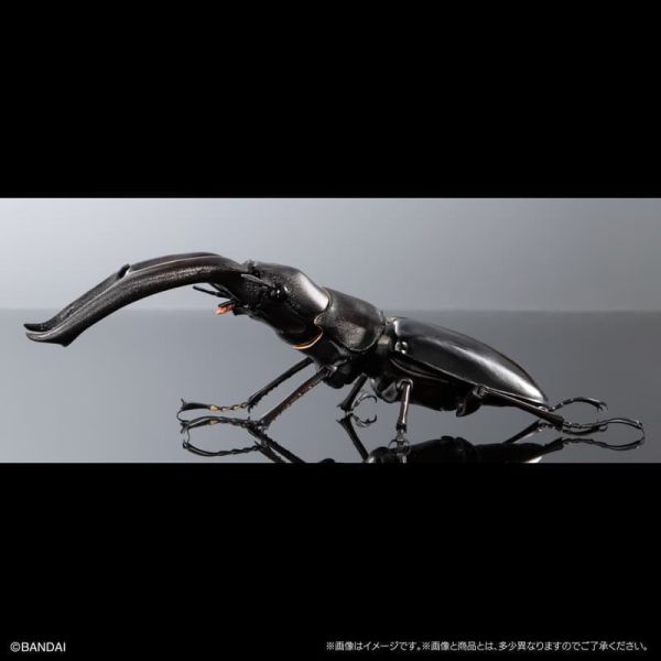 【2026/03月預購】生物大圖鑑PREMIUM 巨顎叉角鍬形蟲（黑） 生物大圖鑑PREMIUM 巨顎叉角鍬形蟲（黑）