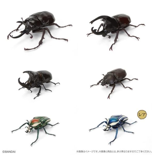 【2026/07月預購】生物大圖鑑 獨角仙11 附樹皮台座(小) 生物大圖鑑 獨角仙11 附樹皮台座(小)