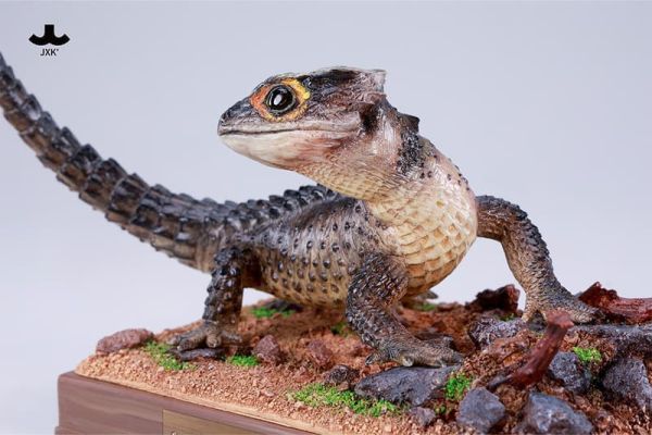 【2025/12月預購】動物模型 JXK305 紅眼鷹蜥 動物模型 JXK305 紅眼鷹蜥