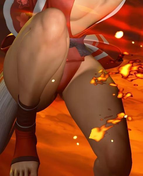【預購】H2《戰鬥不知火舞》裝飾畫 快打旋風 H2《戰鬥不知火舞》裝飾畫 快打旋風