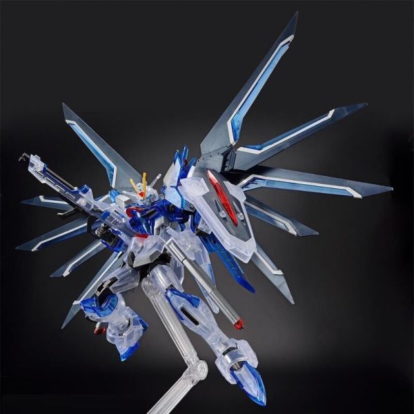 【現貨】 PB HG RISING FREEDOM 振揚自由鋼彈 彩透 PB HG RISING FREEDOM 振揚自由鋼彈 彩透