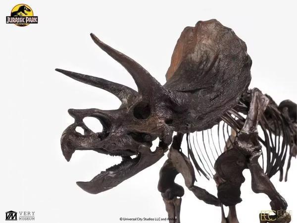 【預購】ELITE CREATURE COLLECTIBLES(ECC) 1/24 Triceratops Scale Bronze 三角龍 骨骼收藏銅像 Jurassic Park 1侏羅紀公園 ELITE CREATURE COLLECTIBLES(ECC) 1/24 Triceratops Scale Bronze 三角龍 骨骼收藏銅像 Jurassic Park 1侏羅紀公園