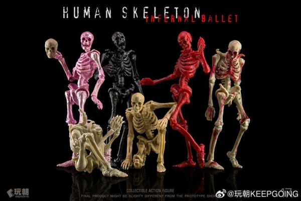 【2026/02月預購】玩朝 生物課堂 1/12 人體骨骼 骷髏素體 成品 關節可動模型 玩朝 生物課堂 1/12 人體骨骼 骷髏素體 成品 關節可動模型