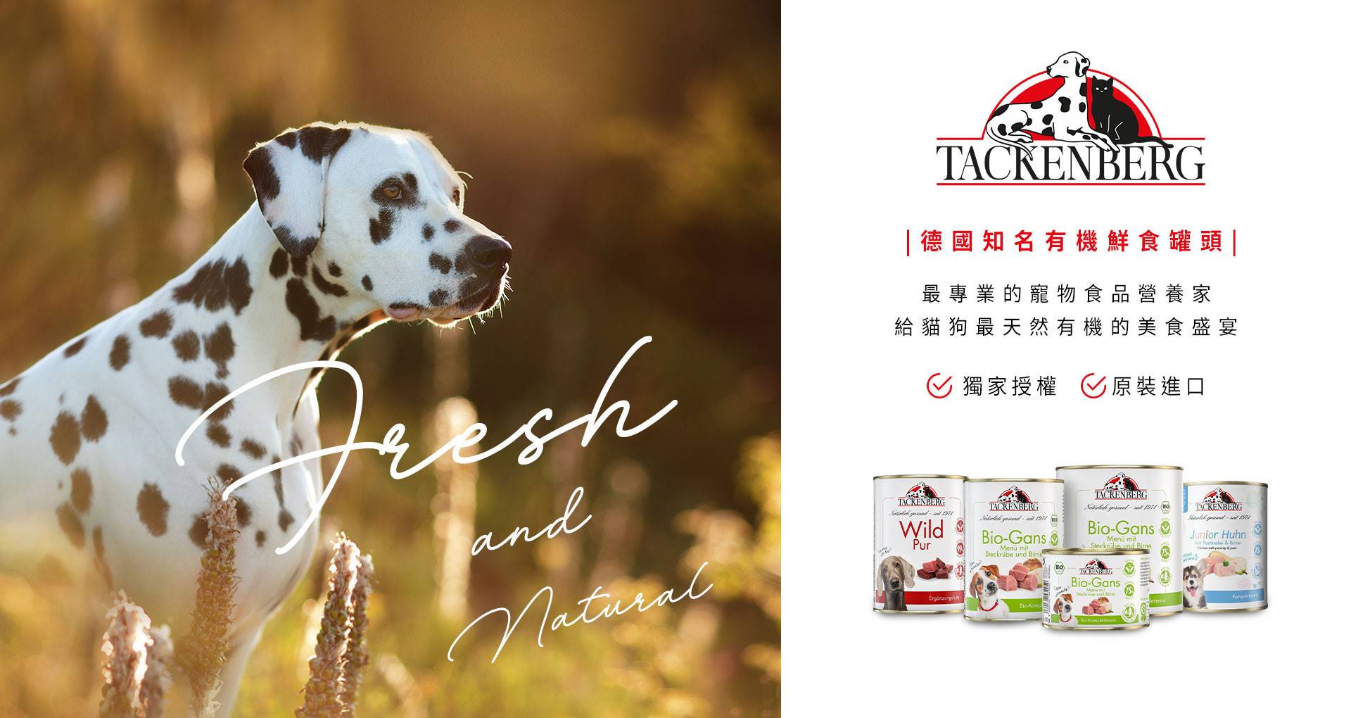 Tackenberg 塔肯柏格 - Richone