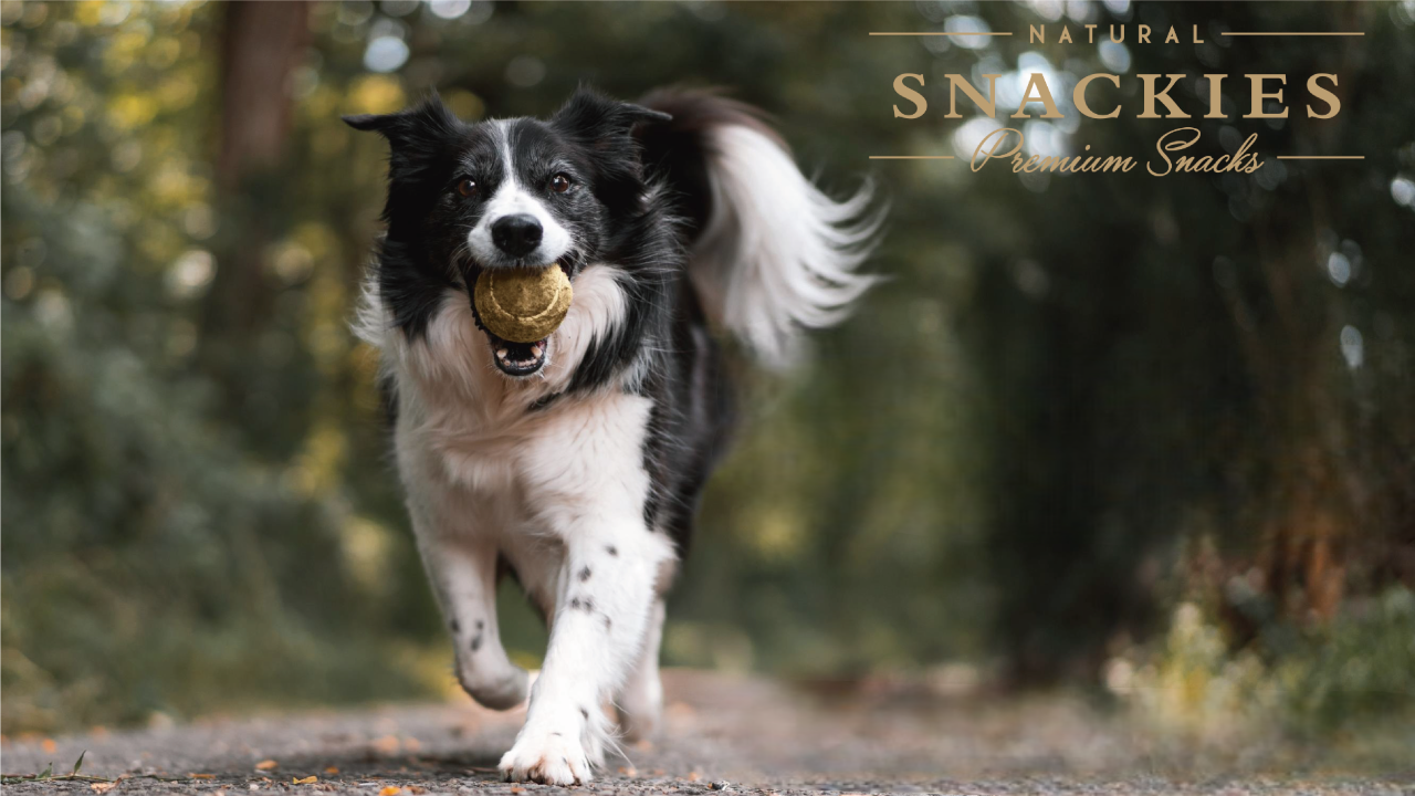 Snackies 德寵小點 - Richone