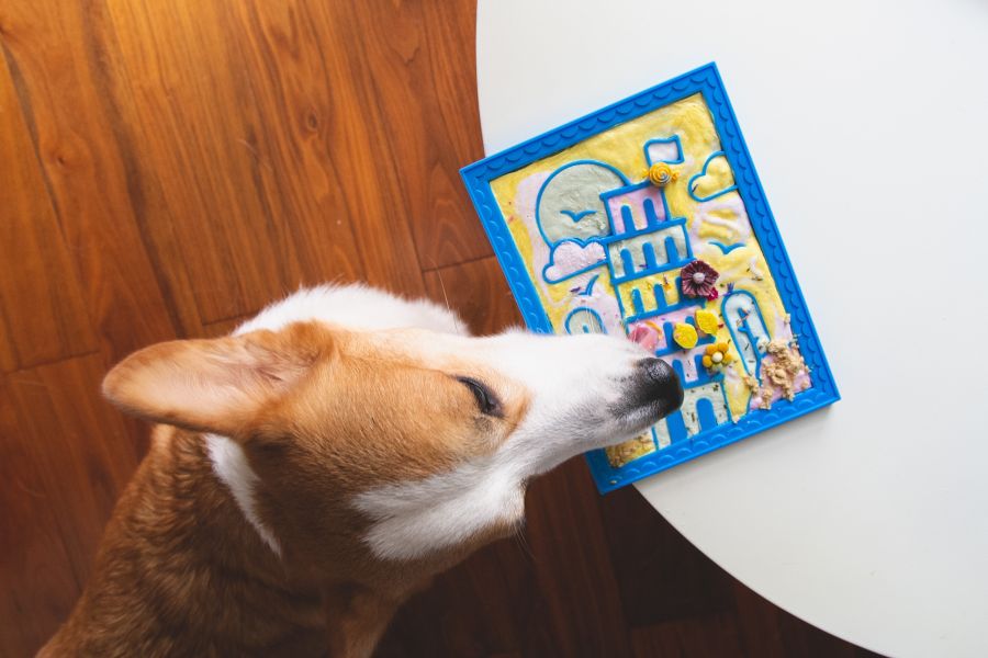 Ululina 烏嚕利納 比薩斜塔_舔食盤【犬貓通用】 