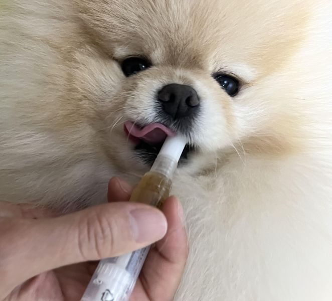 【犬用/貓用】Beppen貝普恩 寵物潔牙筆 4g 