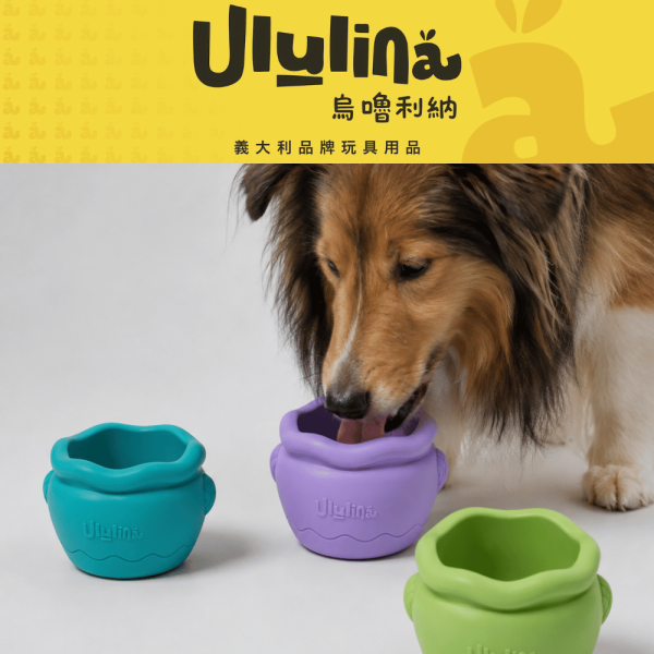 【犬用】Ululina烏嚕利納 陶罐碗 