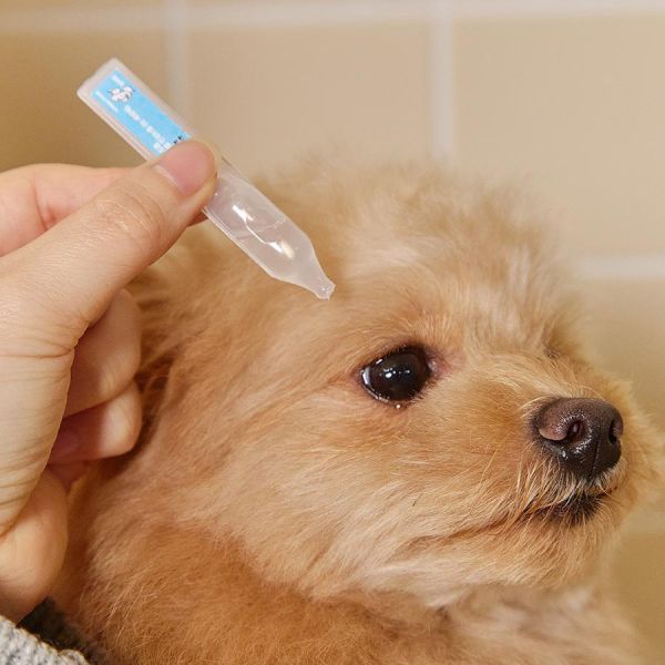 【犬貓通用】Beppen貝普恩 寵物人工淚液 [日拋式] 1ml*30支/盒 