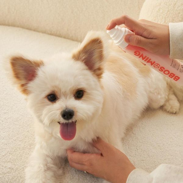 【犬貓通用】Beppen 貝普恩 寵物絲滑護毛精華（順毛噴霧）150ml 
