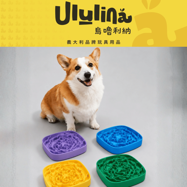 【犬用】Ululina烏嚕利納 義式錫釉彩陶,慢食碗 