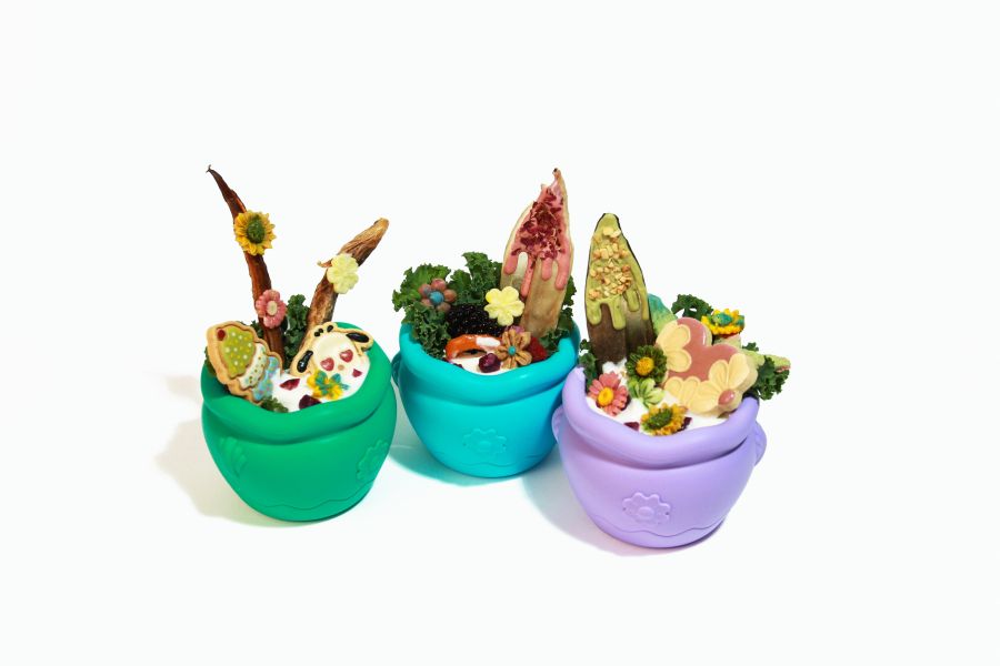 Ululina 烏嚕利納 陶罐碗【犬用】 