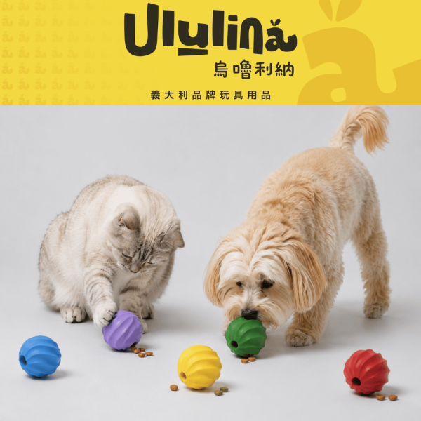 【犬貓通用】Ululina烏嚕利納 仙人掌球_漏食玩具 