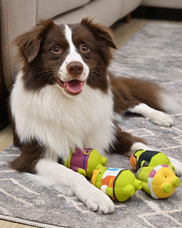 Ululina 烏嚕利納 發聲玩具_仙人掌幻想系列【犬用】 