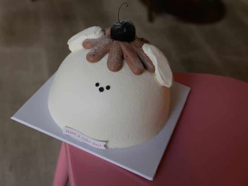 5 吋巧克力布丁水果狗狗 