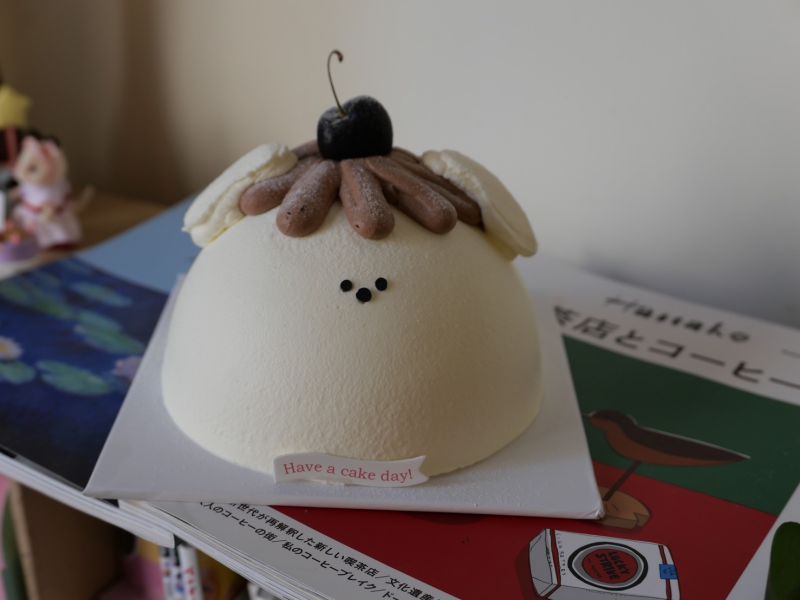 5 吋巧克力布丁水果狗狗 