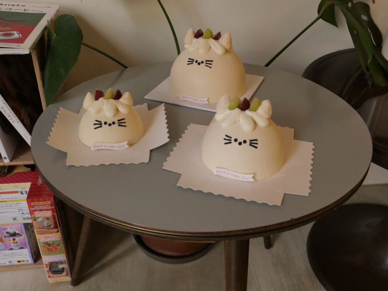 鹽之花牛奶糖奶蓋水果奶油貓貓戚風蛋糕 