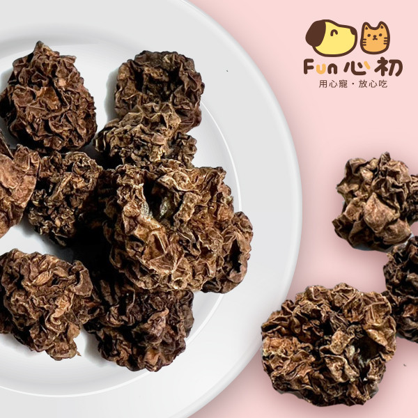 FUN心初-蟲癭果 全宏寵物零食, 高品質寵物食品, 天然寵物食品, 健康寵物零食, 營養寵物食品, 安全寵物點心, 無添加寵物零食, 寵物零食製造, 寵物食品OEM, 台灣寵物食品, 寵物專用零食, 精選食材寵物食品, 科學配方寵物食品, 低敏寵物零食, 無穀寵物食品, 寵物營養點心, 寵物補充零食, 狗狗零食, 貓咪零食, 健康狗零食, 天然狗點心, 營養貓零食, 狗貓通用零食, 低脂寵物食品, 高蛋白寵物食品