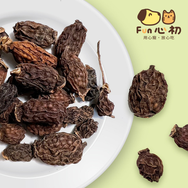 FUN心初-木天蓼果實 全宏寵物零食, 高品質寵物食品, 天然寵物食品, 健康寵物零食, 營養寵物食品, 安全寵物點心, 無添加寵物零食, 寵物零食製造, 寵物食品OEM, 台灣寵物食品, 寵物專用零食, 精選食材寵物食品, 科學配方寵物食品, 低敏寵物零食, 無穀寵物食品, 寵物營養點心, 寵物補充零食, 狗狗零食, 貓咪零食, 健康狗零食, 天然狗點心, 營養貓零食, 狗貓通用零食, 低脂寵物食品, 高蛋白寵物食品