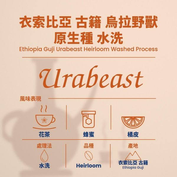 衣索比亞 古籍 烏拉野獸 水洗 