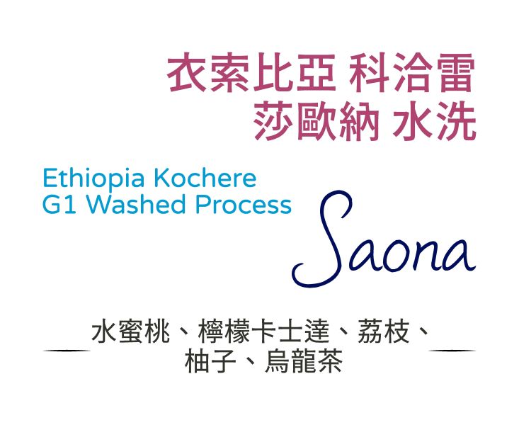 衣索比亞 科洽雷 莎歐娜 水洗 
