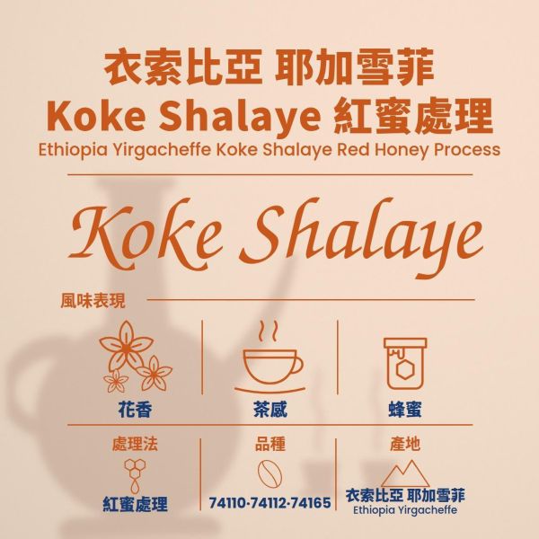 衣索比亞 Yirgacheffe Koke Shalaye 