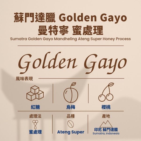 蘇門達臘 Golden Gayo 曼特寧 