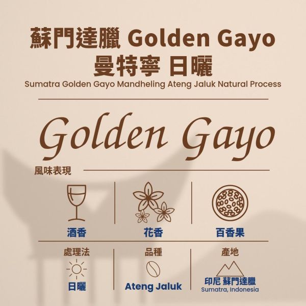蘇門達臘 Golden Gayo 曼特寧 日曬 