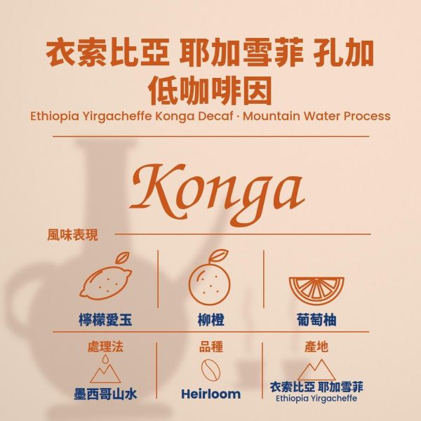衣索比亞 耶加雪菲 孔加 低咖啡因 