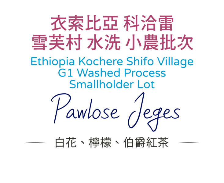 衣索比亞 科洽雷 雪芙村 