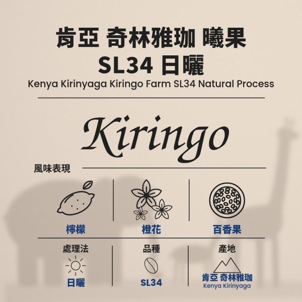 肯亞 NH 奇林雅珈 曦果 