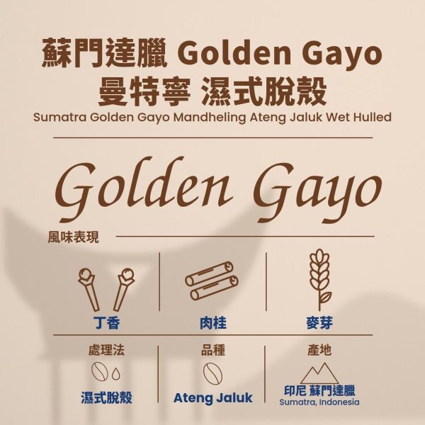 蘇門達臘 Golden Gayo 曼特寧 濕脱殼 