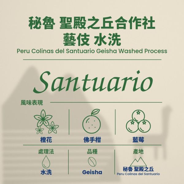 秘魯 聖殿之丘合作社 小農藝伎 