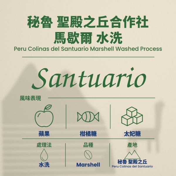 秘魯 聖殿之丘合作社 小農批次 馬歇爾 