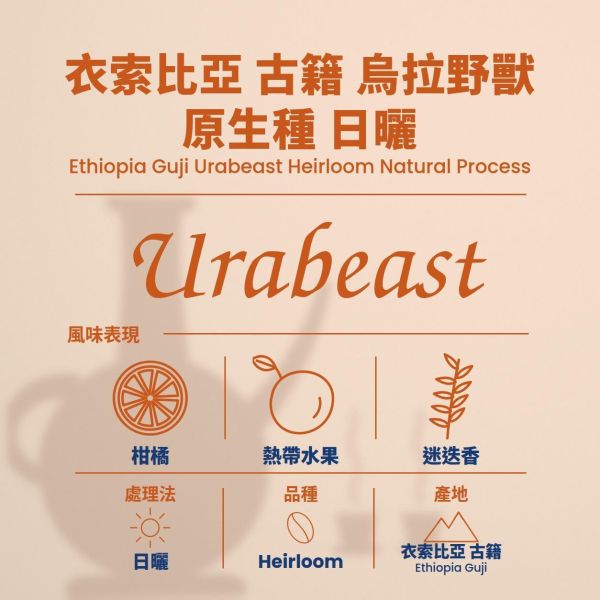 衣索比亞 古籍 烏拉野獸 日曬 