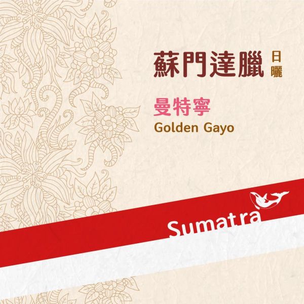 蘇門達臘 Golden Gayo 曼特寧 日曬 