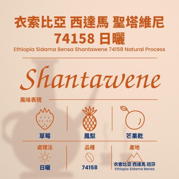 衣索比亞 西達馬 班莎 聖塔維尼 