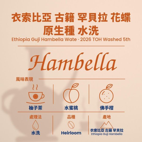 衣索比亞 古籍 罕貝拉 花蝶 