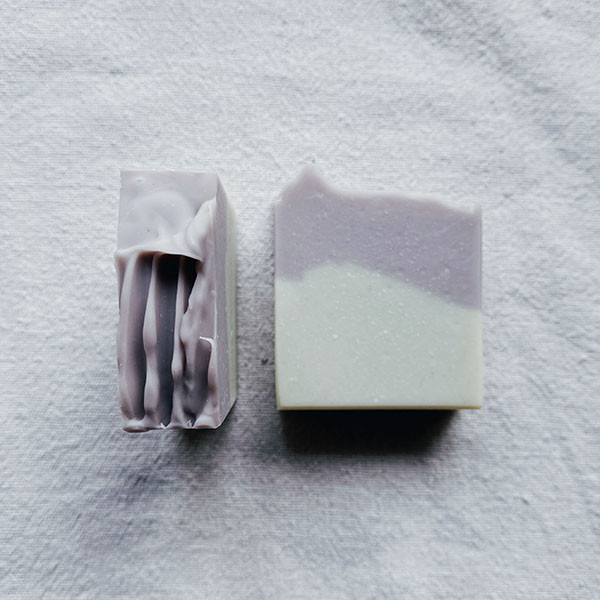 夜幕｜芳樟 歐洲赤松 