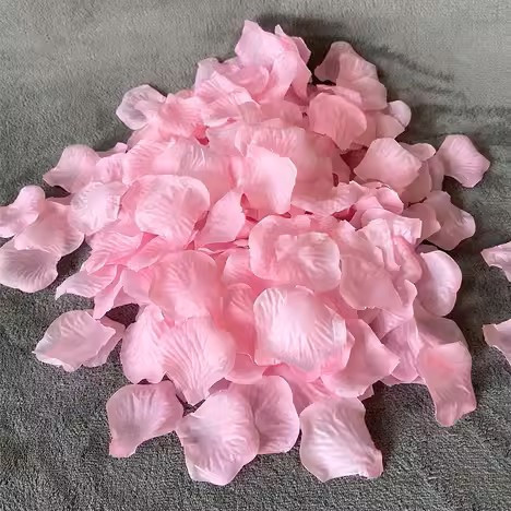 花瓣 