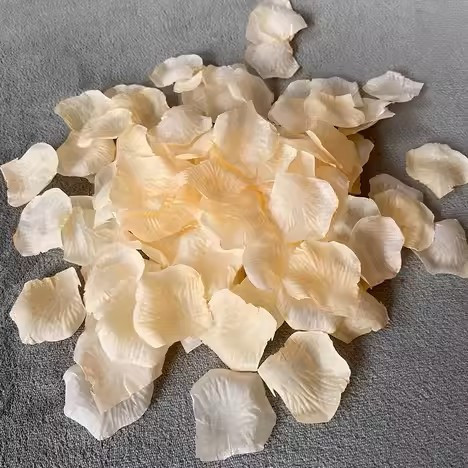 花瓣 