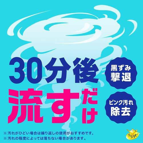 日本 地球製藥 EARTH 馬桶清潔粉 抑菌泡泡清潔粉 馬桶泡沫清潔劑 清潔噴霧 馬桶清潔 厠所清潔 180g 