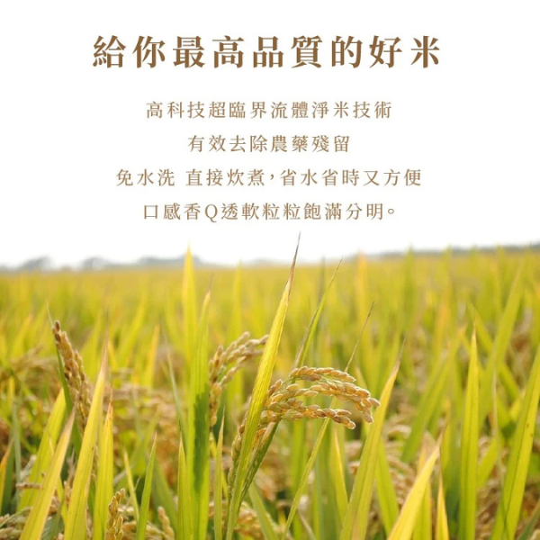 義美純淨-糙米 2.6kg 